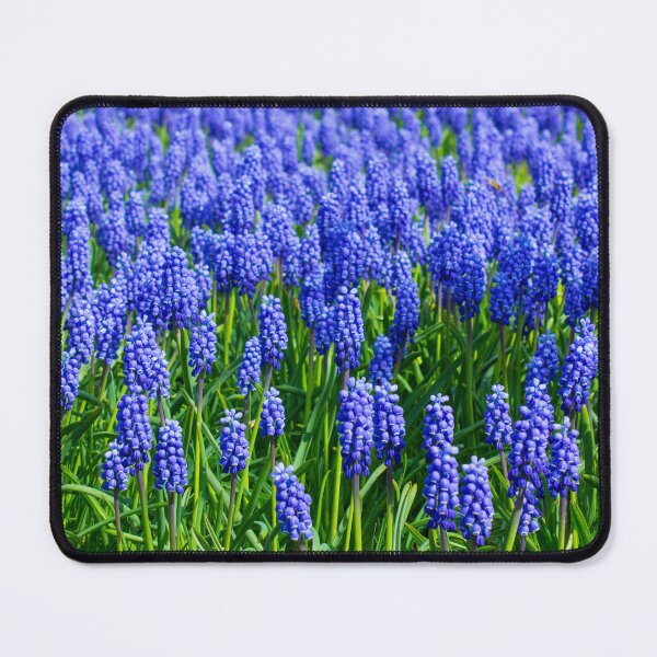 Item preview, Field of Royal Blue Grape Hyacinth designed and sold by Rod Raglin.