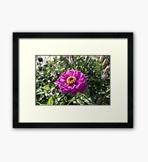 Glencoe, IL Framed Print