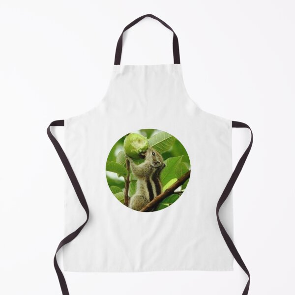 Item preview, Squarrel designed and sold by Saiamrita123.