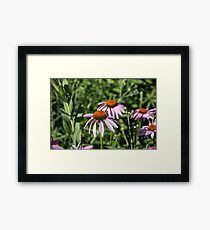Glencoe, IL Framed Print