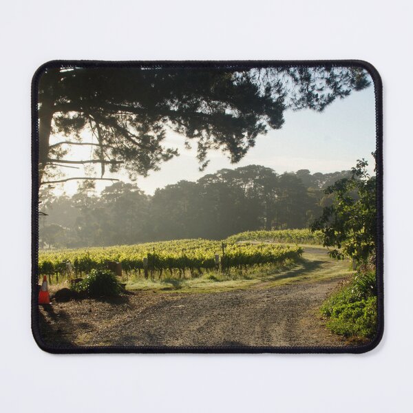 Item preview, Morning light in the Vineyard by Adelaide Artist Avril Thomas at Magpie Springs designed and sold by MagpieSprings.