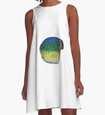 Pet Fish Rock A-Line Dress