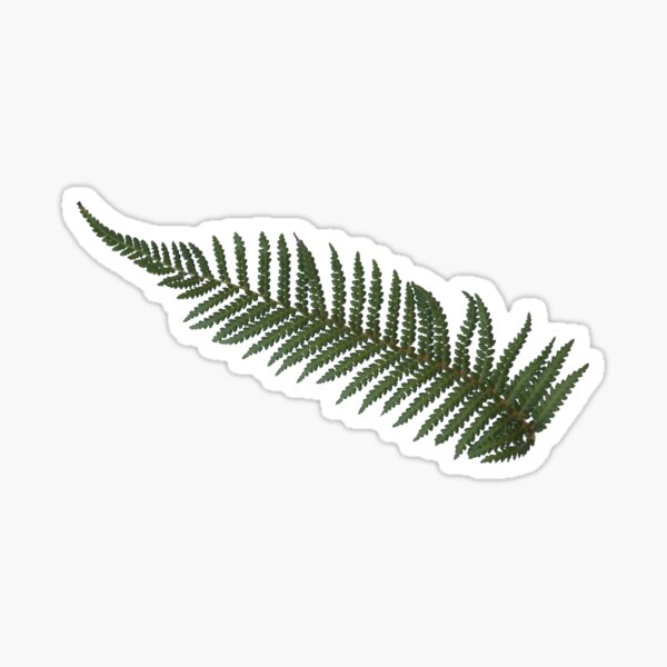 Fern Leaf Sticker