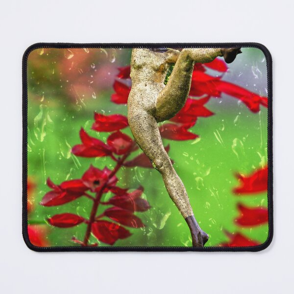 Item preview, ISLAND OF MAINAU : The statue designed and sold by creefot.