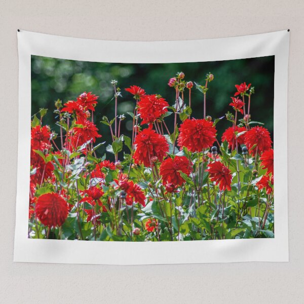 Item preview, BODENSEE : Red dahlias designed and sold by creefot.