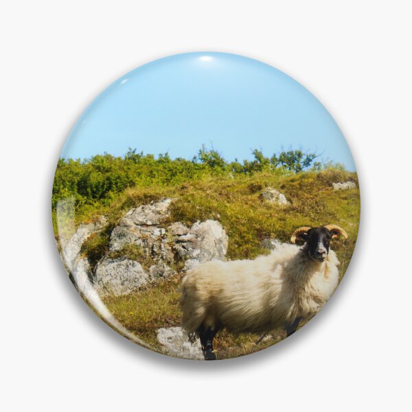 Item preview, Sheep of the Highlands designed and sold by maureen bracewell.