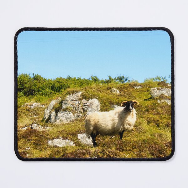 Item preview, Sheep of the Highlands designed and sold by maureen bracewell.