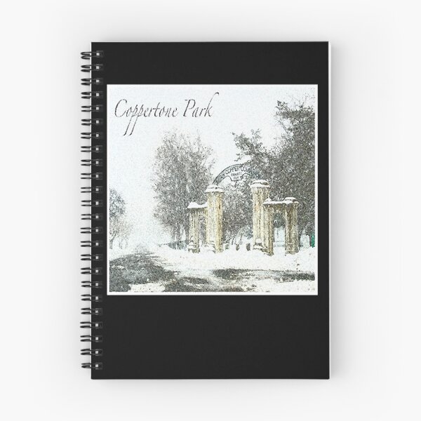 Item preview, Coppertone Park Album Cover designed and sold by Ryan-Oldham.