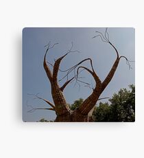 Sculpture Canvas Print
