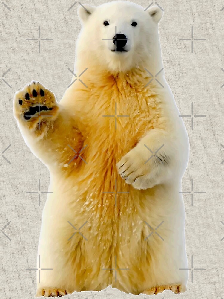 Polar bear wave Pullover Hoodie