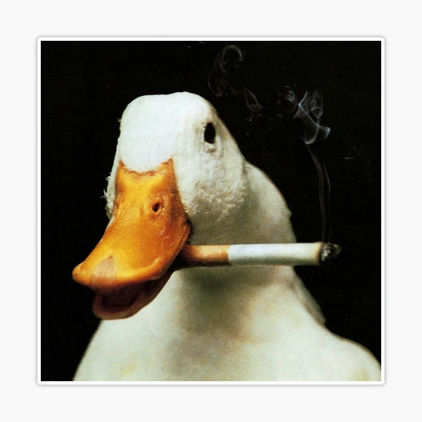 duck with cigarette ArtStation It Looks Just As Stupid