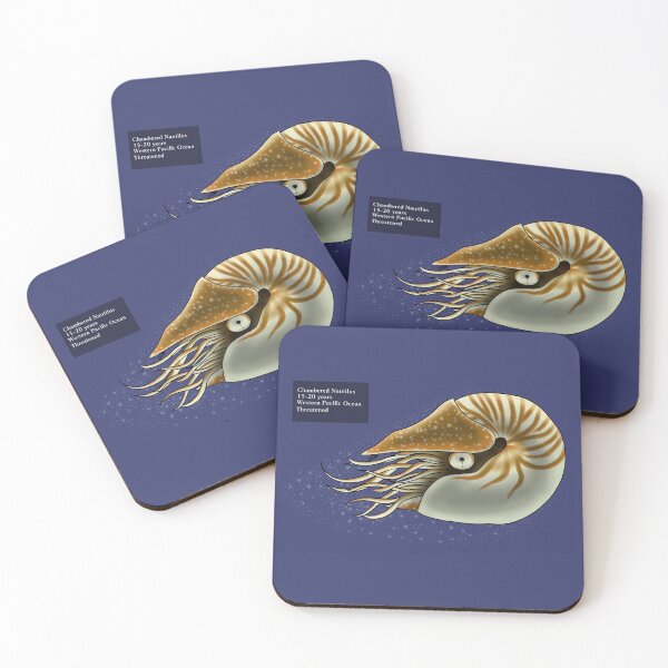 Item preview, Chambered Nautilus designed and sold by Issac Wild.