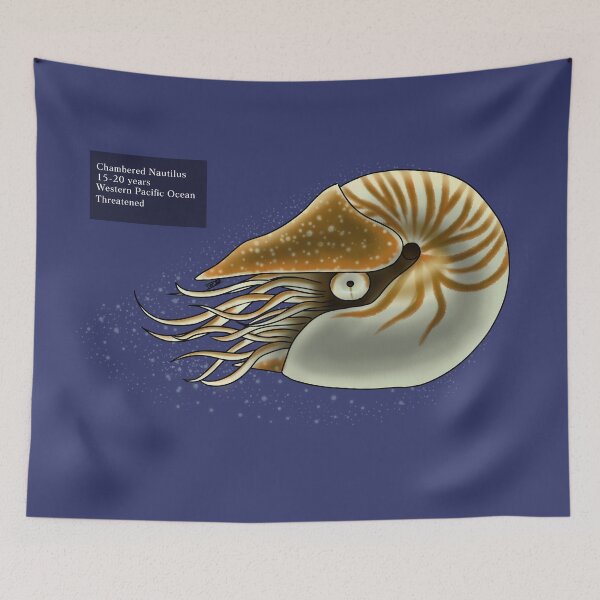 Item preview, Chambered Nautilus designed and sold by Issac Wild.