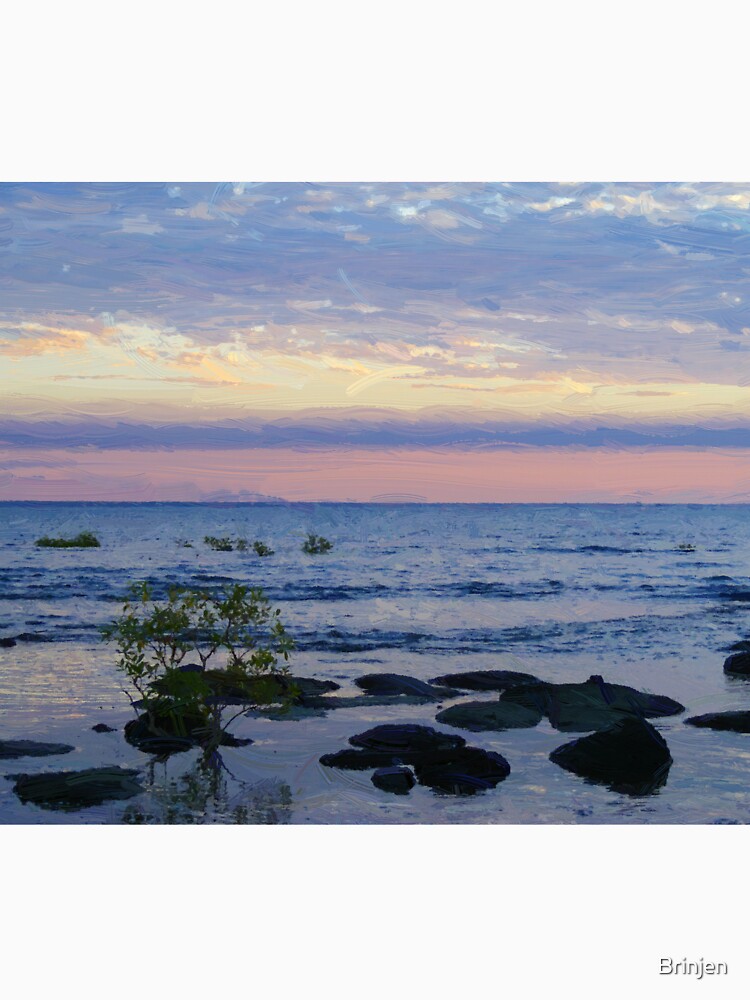 Nightcliff Sunset by Brinjen