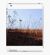 Relaxation iPad Case/Skin