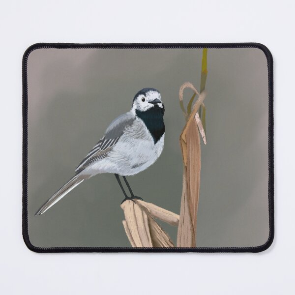 Item preview, Pied Wagtail Soft Pastel Drawing on Grey designed and sold by creativebakergb.