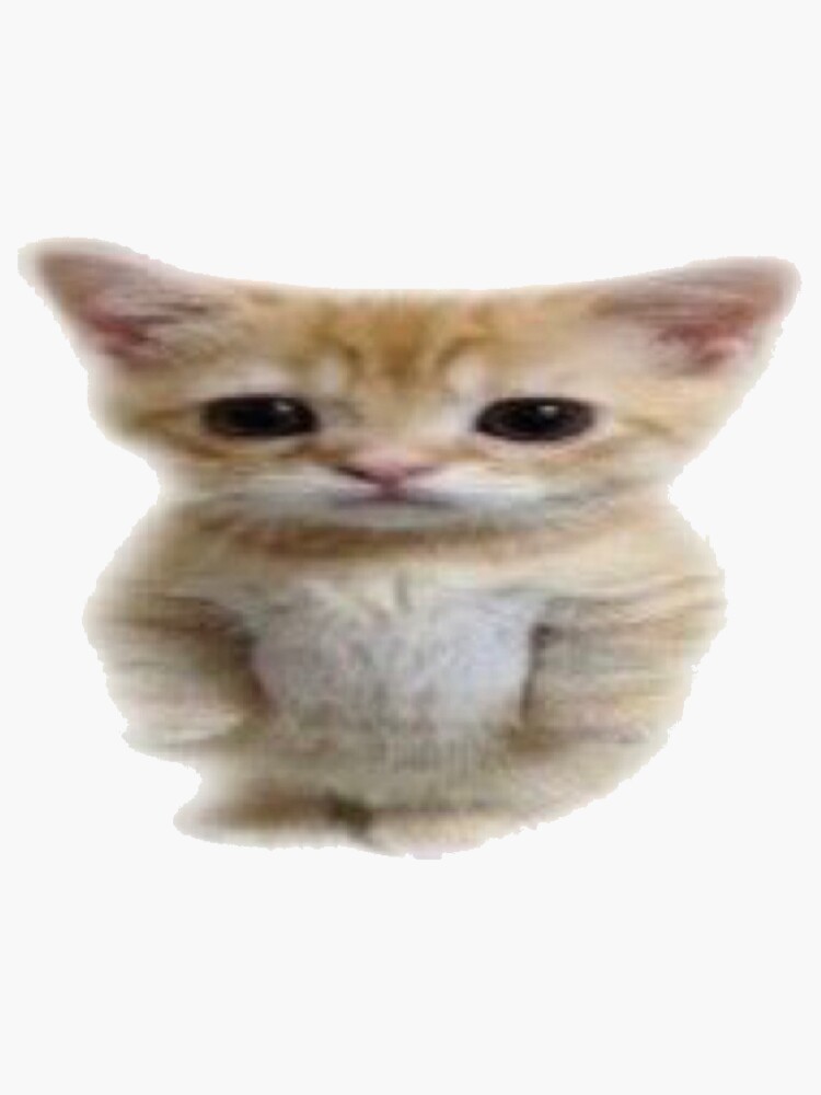 El Gato / standing cat meme Sticker for Sale by Twizzybutt Redbubble