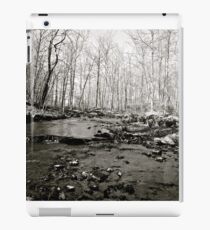 Serenity iPad Case/Skin