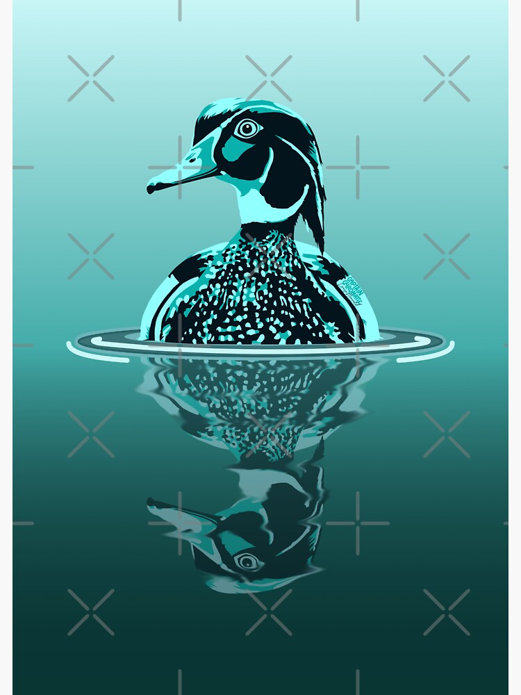 "Wood duck portrait Print" Sticker by captchromatic Redbubble