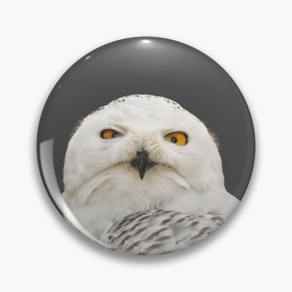 Item preview, SnowOwls is Gift for WinterOwl lover  designed and sold by DiensDesign.