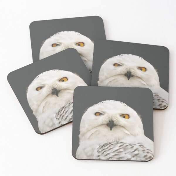 Item preview, SnowOwls is Gift for WinterOwl lover  designed and sold by DiensDesign.