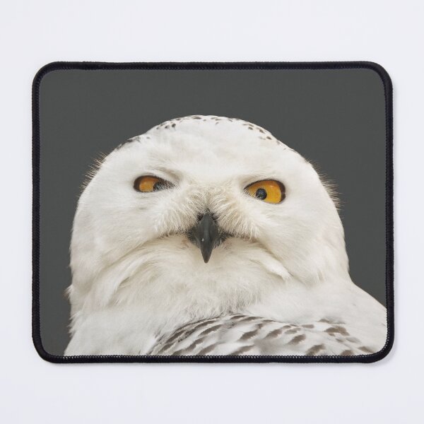 Item preview, SnowOwls is Gift for WinterOwl lover  designed and sold by DiensDesign.