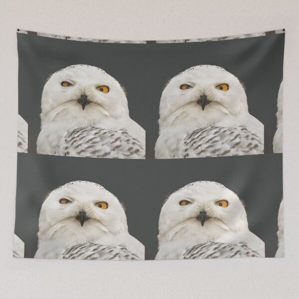 Item preview, SnowOwls is Gift for WinterOwl lover  designed and sold by DiensDesign.