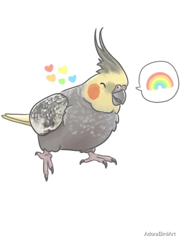 Rainbow cockatiel store