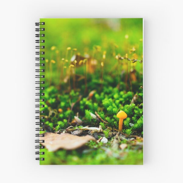 Item preview, Photograpy - Lonely mushroom  designed and sold by Karolien Kenis.