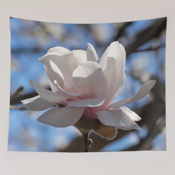 Item preview, Pink Magnolia Blossom designed and sold by Cathy Donohoue.