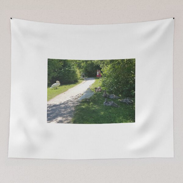 Item preview, swan familly... designed and sold by barbich.
