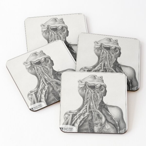 Item preview, Anatomy of the head, neck and chest designed and sold by Royal College of Physicians Museum.
