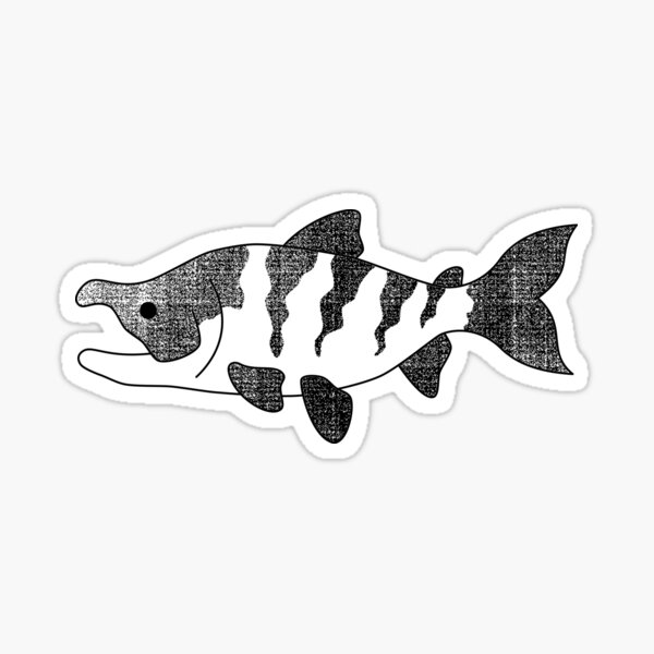 Salmon Sticker By Insidethevector Redbubble