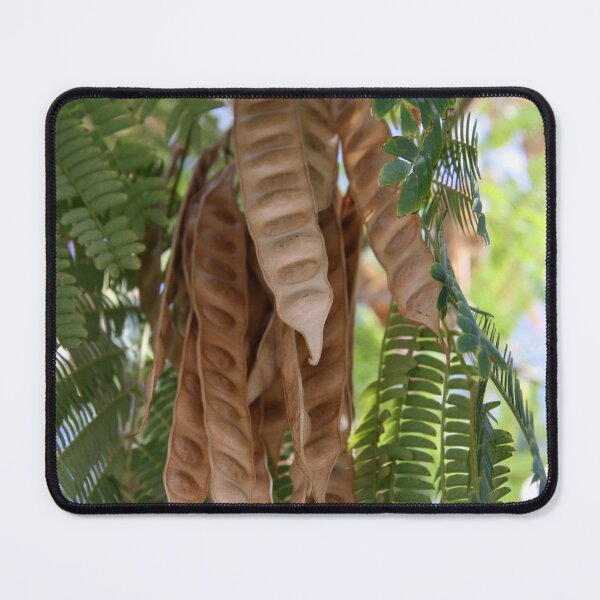 Item preview, The Seeds of Today and Yesterday designed and sold by coffeebean.