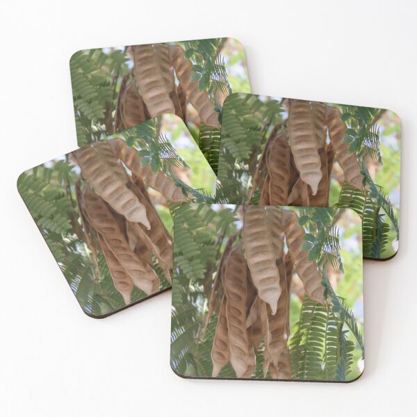 Item preview, The Seeds of Today and Yesterday designed and sold by coffeebean.