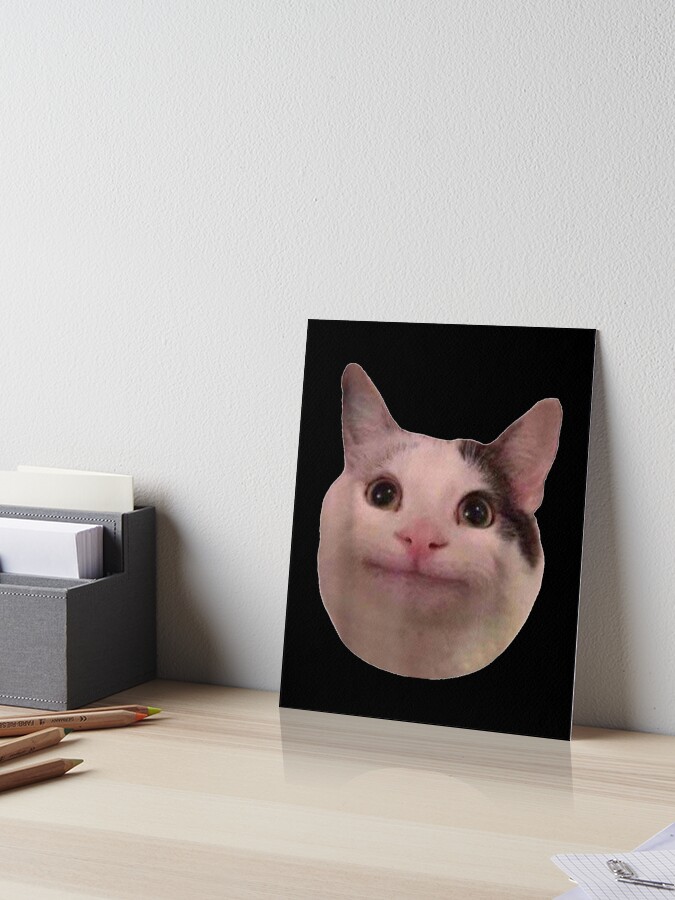 beluga cat discord pfp  Mounted Print for Sale by Liamandlore