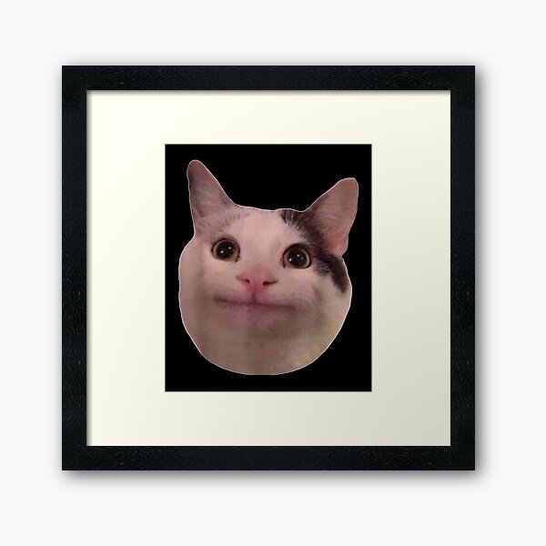 Beluga Discord - Beluga Cat - Pixel Pink Glasses Art Board Print for Sale  by DiensDesign