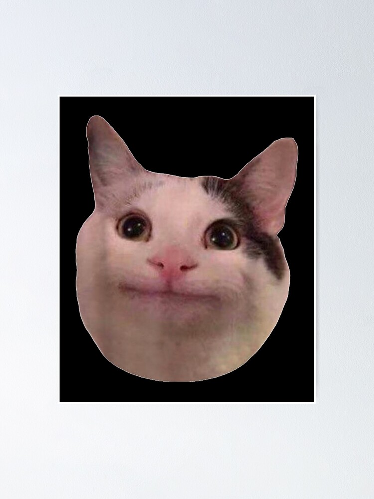 Download Beluga Cat Meme Face Wallpaper