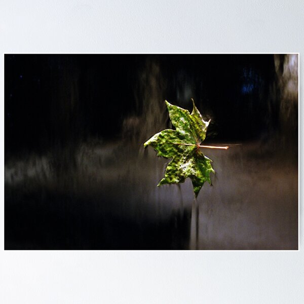 Item preview, All the leaves are green ... designed and sold by Roberts Birze.