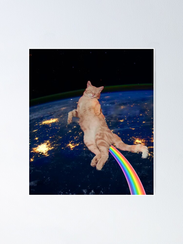 orange cat flying on space