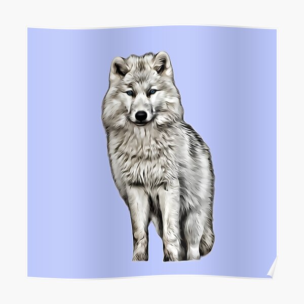 Póster «lobo blanco kawaii» de CasualMadness | Redbubble