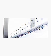 Bolte Bridge Photographic Print