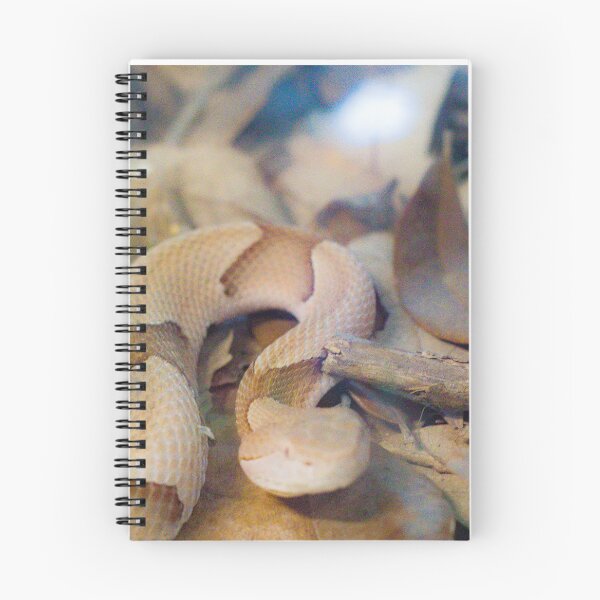 Item preview, Copperhead Snake Named Hershey designed and sold by PurteePhotos.