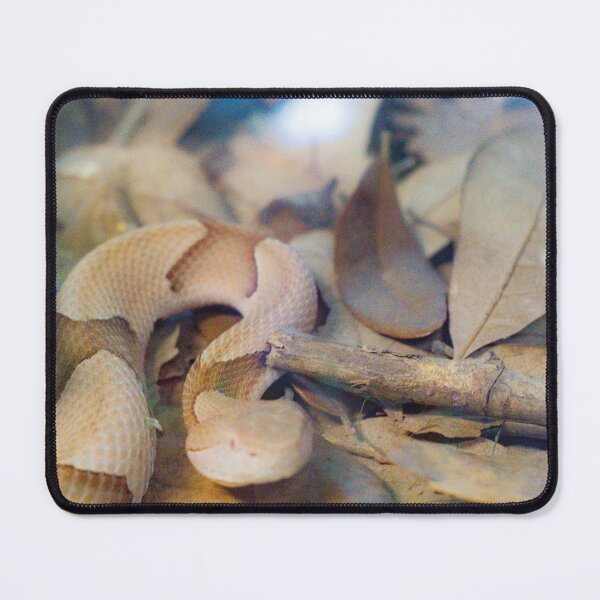 Item preview, Copperhead Snake Named Hershey designed and sold by PurteePhotos.