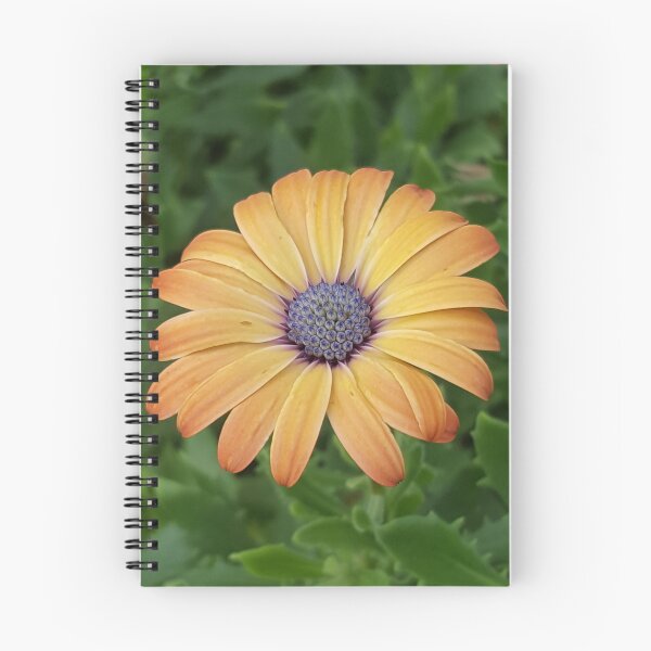 Item preview, Burst designed and sold by Becca Kirkpatrick.