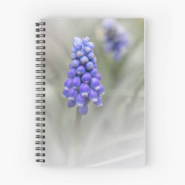 Item preview, a close up of a Muscari designed and sold by Ronenvief.