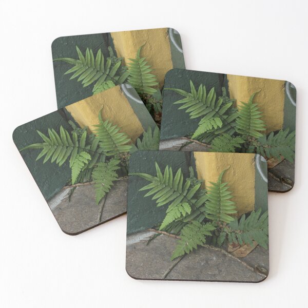 Item preview, Small fern in NOLA designed and sold by grey-hand-art.
