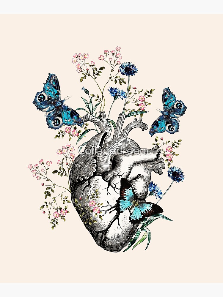 "Human heart anatomy with blue butterflies and flowers, floral art of