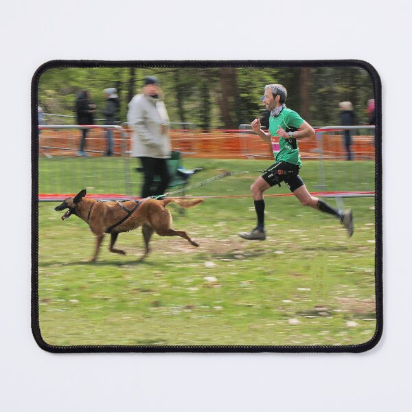 Item preview, r3386 / finition 2022 - 1 " Chien: Canicross " Photo Okaio Créations Olavia-Olao designed and sold by o.okaïo.