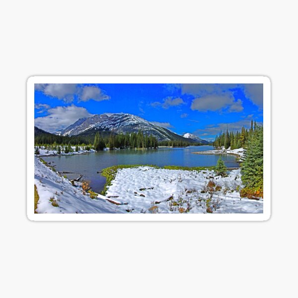 Nature Sticker
